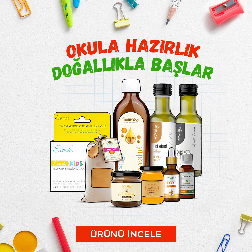 Okula Dönüş