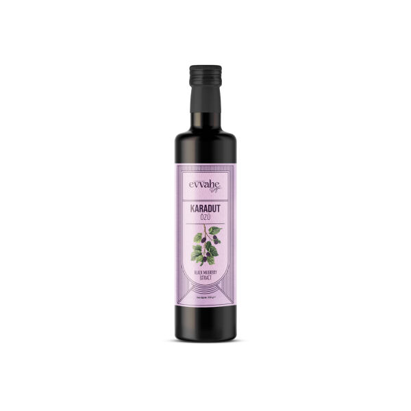 Karadut Şurubu 100ml - 1