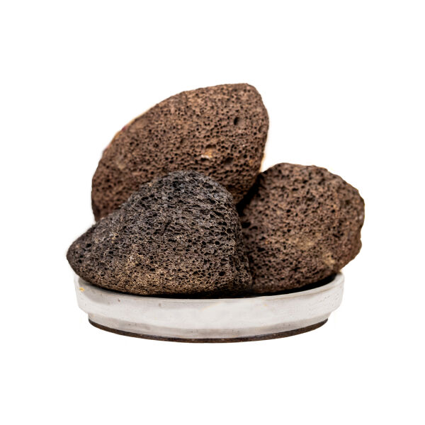 Doğal Topuk Taşı (Fosil) - 1